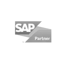 sap partner